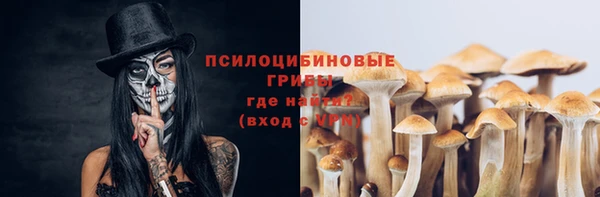 каннабис Богородицк