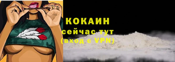МДПВ Бронницы