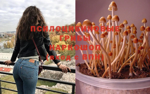 наркотики Богданович