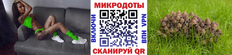 Купить закладки  Рыбинск  Псилоцибиновые грибы MAGIC MUSHROOMS 